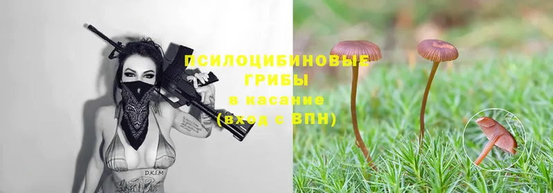 Галлюциногенные грибы Magic Shrooms  Киренск 